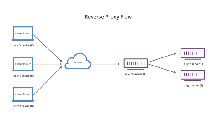 reverse-proxy